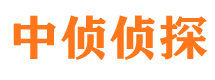 阜康市调查公司